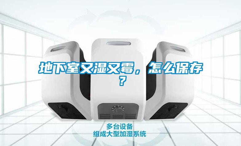 地下室又濕又霉，怎么保存？