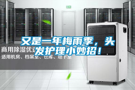 又是一年梅雨季，頭發(fā)護理小妙招！