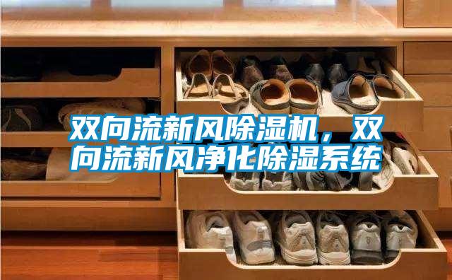 雙向流新風除濕機，雙向流新風凈化除濕系統