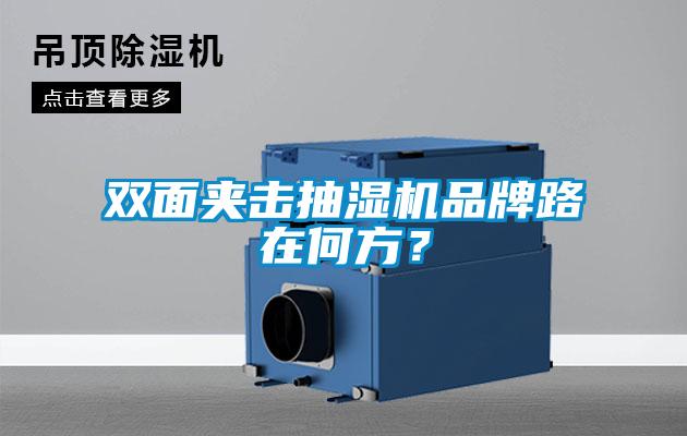 雙面夾擊抽濕機(jī)品牌路在何方？