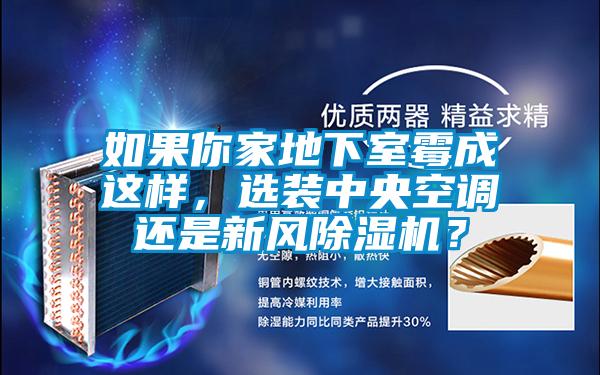 如果你家地下室霉成這樣，選裝中央空調(diào)還是新風除濕機？