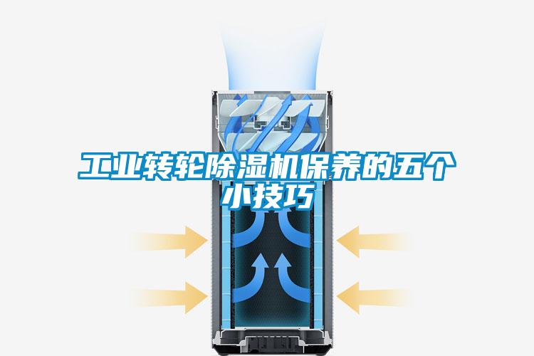 工業(yè)轉(zhuǎn)輪除濕機(jī)保養(yǎng)的五個(gè)小技巧