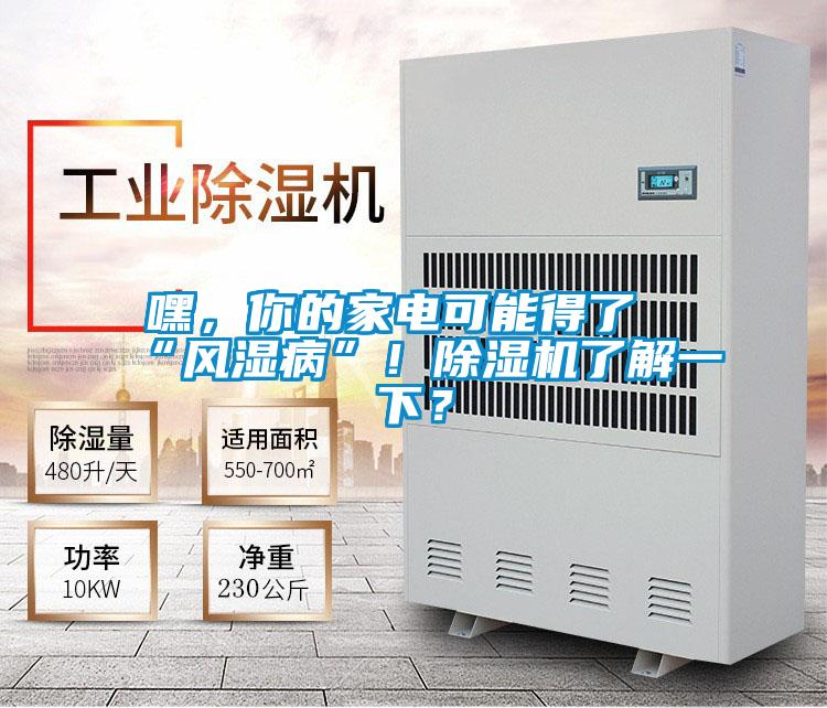 嘿，你的家電可能得了“風濕病”！除濕機了解一下？