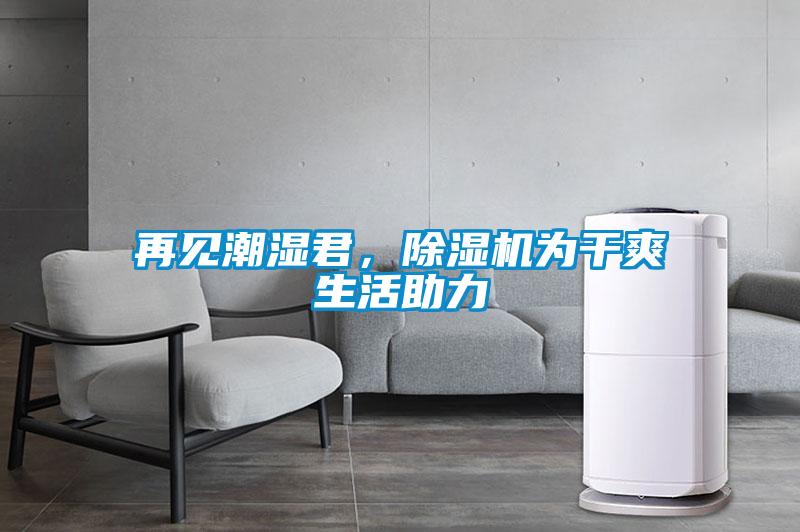 再見潮濕君，除濕機(jī)為干爽生活助力