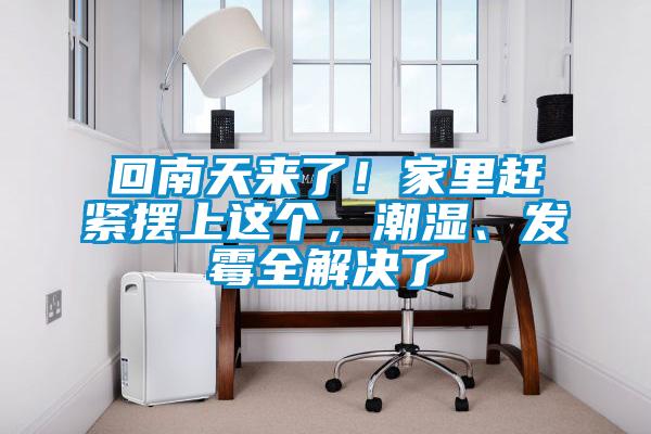 回南天來了！家里趕緊擺上這個，潮濕、發霉全解決了