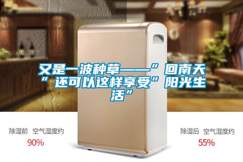 又是一波種草——”回南天”還可以這樣享受”陽(yáng)光生活”