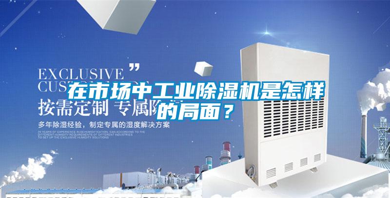 在市場中工業除濕機是怎樣的局面？