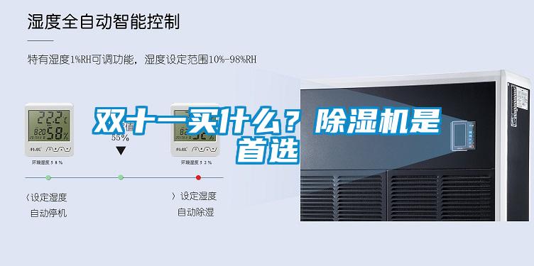 雙十一買什么？除濕機是首選