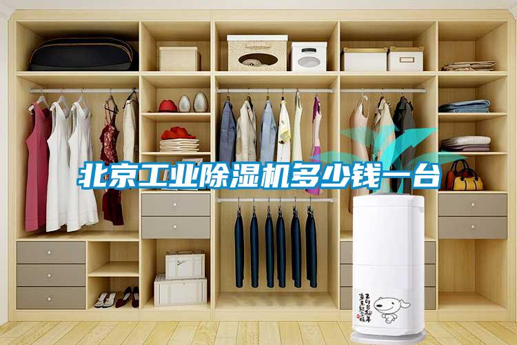 北京工業除濕機多少錢一臺