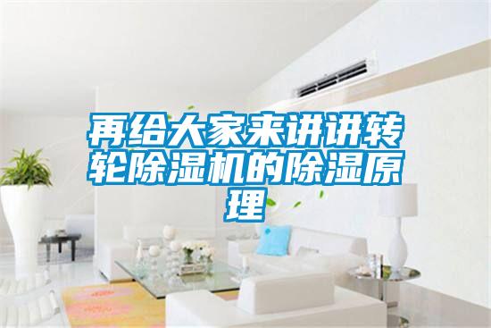 再給大家來講講轉輪除濕機的除濕原理
