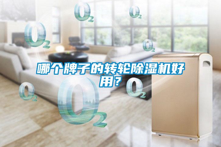 哪個牌子的轉輪除濕機好用？