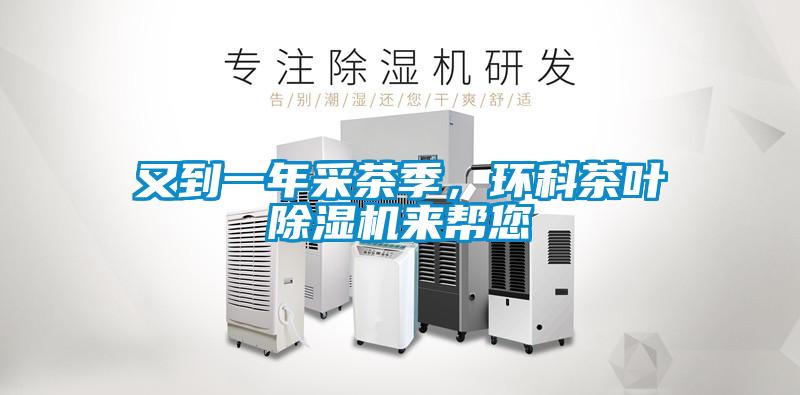 又到一年采茶季，環(huán)科茶葉除濕機來幫您