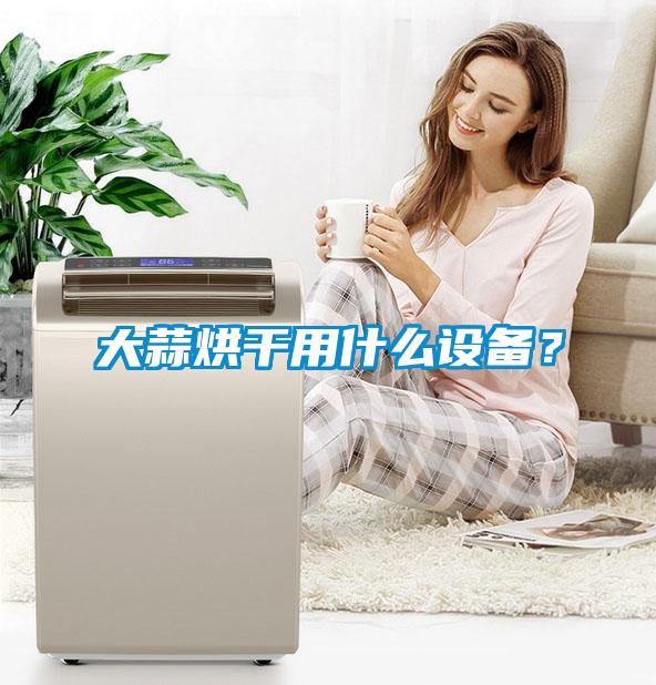 大蒜烘干用什么設備？