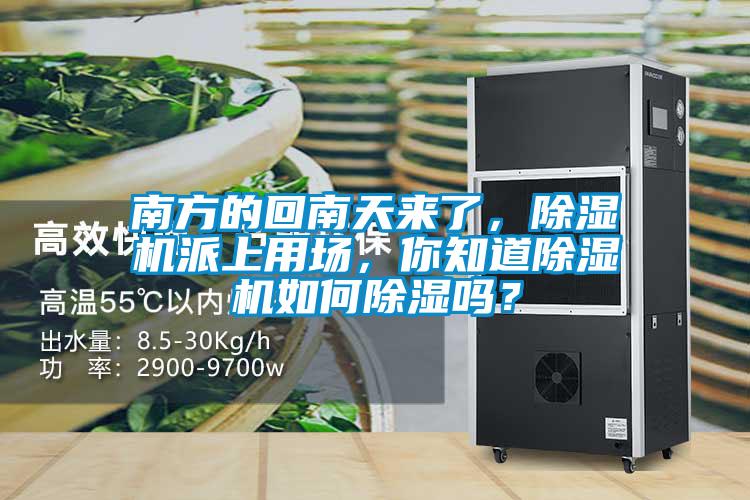 南方的回南天來了，除濕機派上用場，你知道除濕機如何除濕嗎？