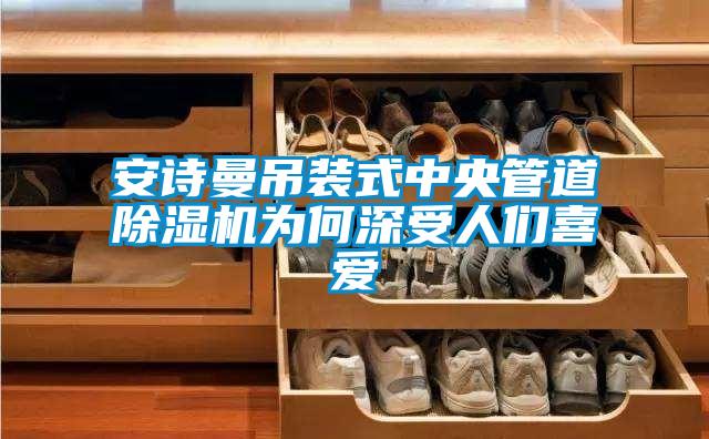 安詩曼吊裝式中央管道除濕機為何深受人們喜愛