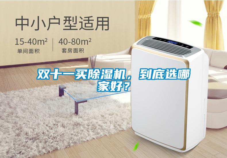 雙十一買除濕機，到底選哪家好？