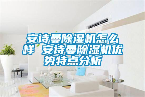 安詩曼除濕機怎么樣 安詩曼除濕機優勢特點分析