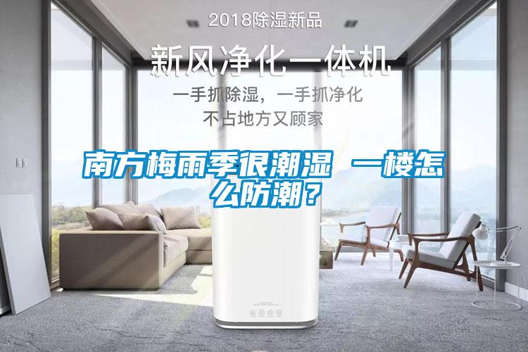 南方梅雨季很潮濕 一樓怎么防潮？