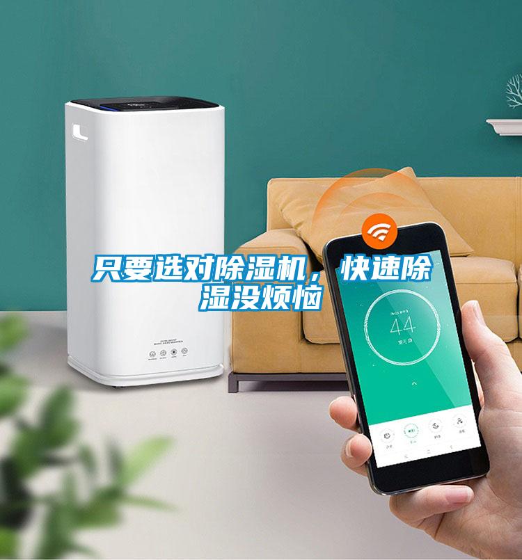 只要選對除濕機，快速除濕沒煩惱