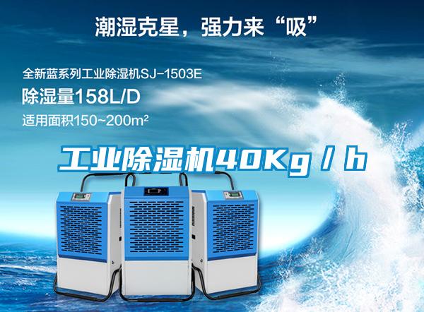 工業(yè)除濕機40Kg／h