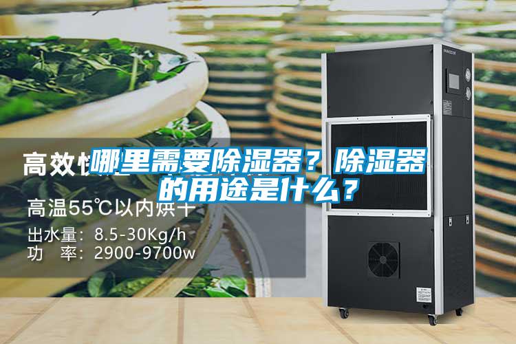 哪里需要除濕器？除濕器的用途是什么？