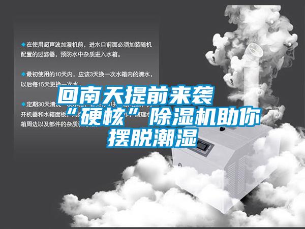 回南天提前來襲 “硬核”除濕機助你擺脫潮濕