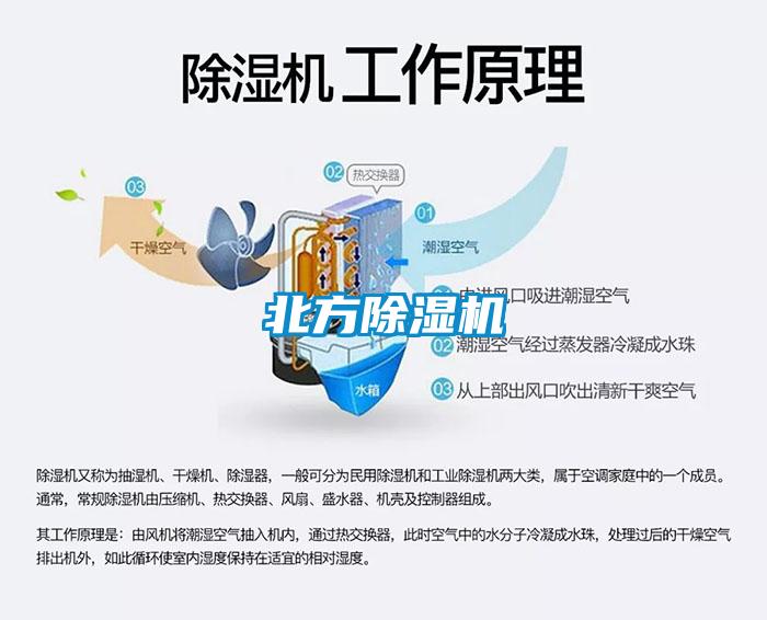 北方除濕機(jī)