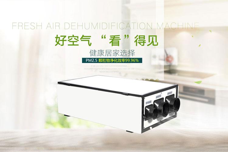 臺風(fēng)帶來的強降雨該如何除濕？