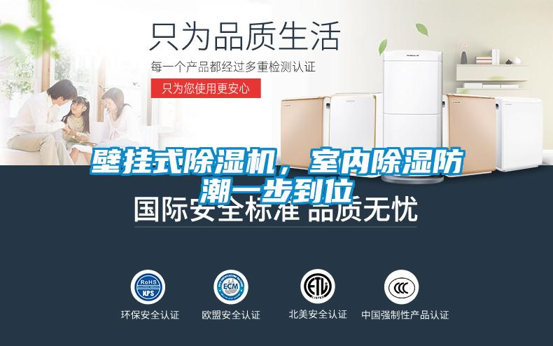 壁掛式除濕機，室內除濕防潮一步到位