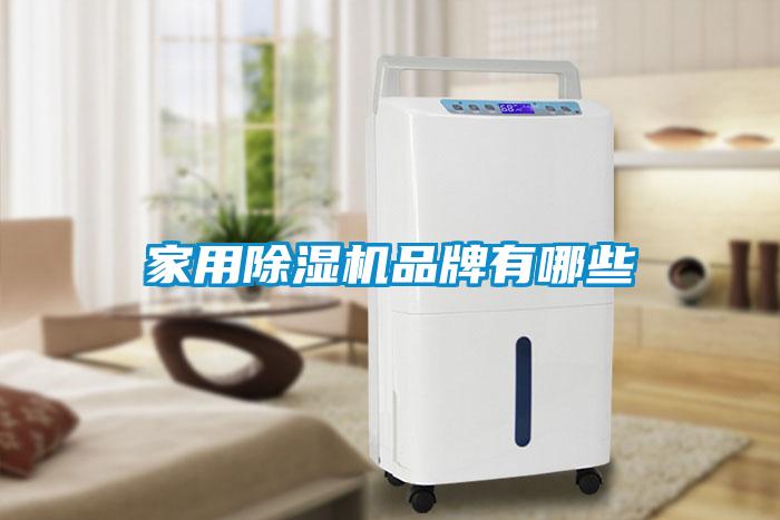 家用除濕機(jī)品牌有哪些