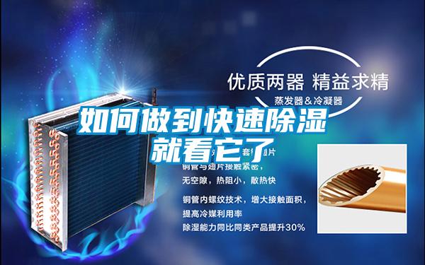 如何做到快速除濕 就看它了