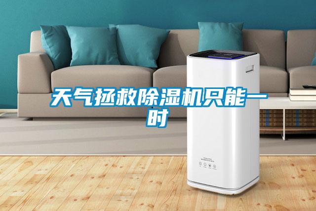 天氣拯救除濕機只能一時