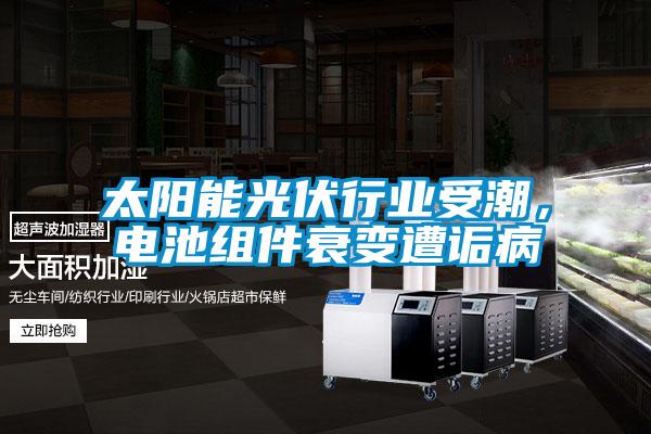 太陽能光伏行業受潮，電池組件衰變遭詬病