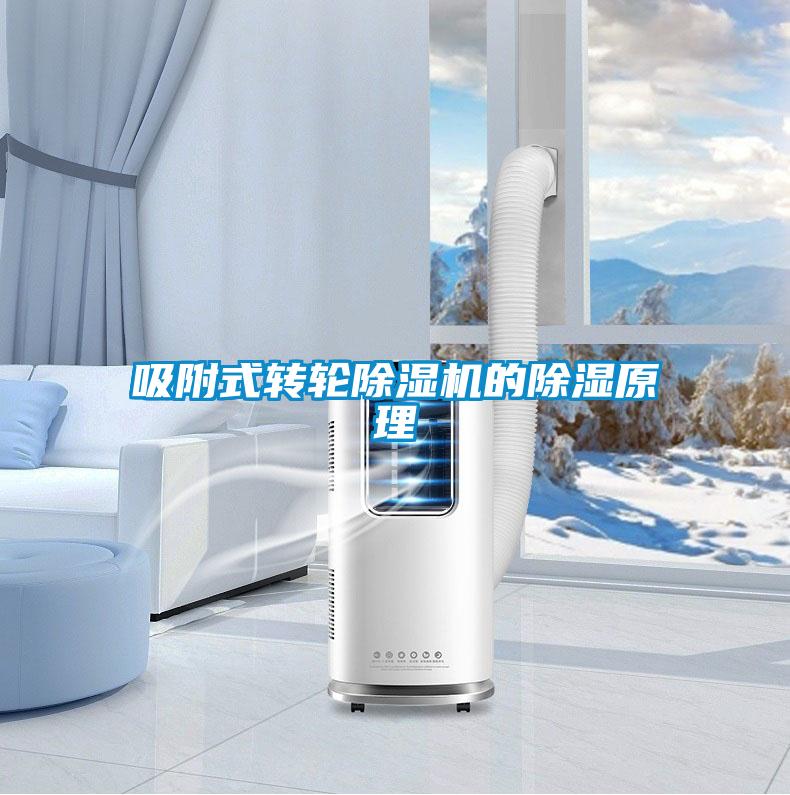 吸附式轉(zhuǎn)輪除濕機的除濕原理