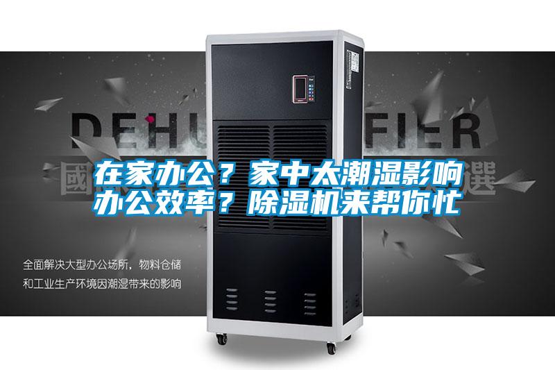 在家辦公？家中太潮濕影響辦公效率？除濕機來幫你忙