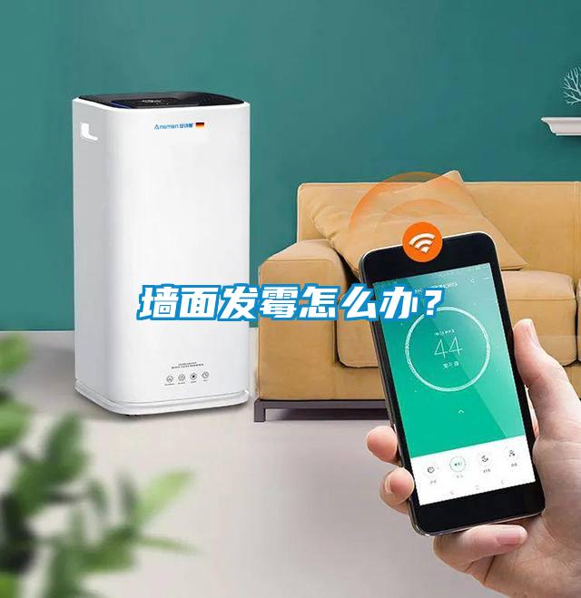 墻面發霉怎么辦？
