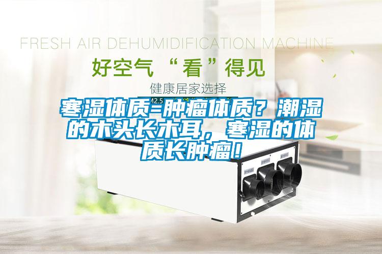 寒濕體質=腫瘤體質？潮濕的木頭長木耳，寒濕的體質長腫瘤！
