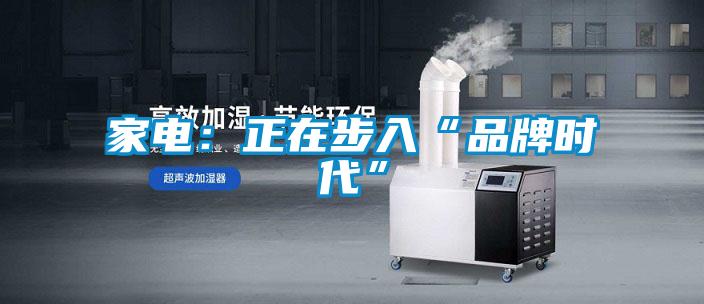 家電：正在步入“品牌時代”