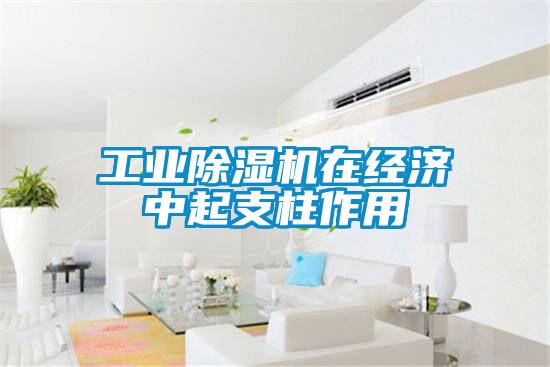 工業除濕機在經濟中起支柱作用
