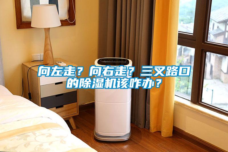 向左走？向右走？三叉路口的除濕機(jī)該咋辦？