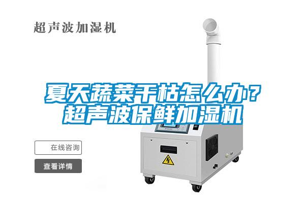 夏天蔬菜干枯怎么辦？超聲波保鮮加濕機