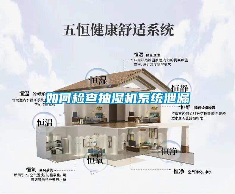 如何檢查抽濕機系統泄漏