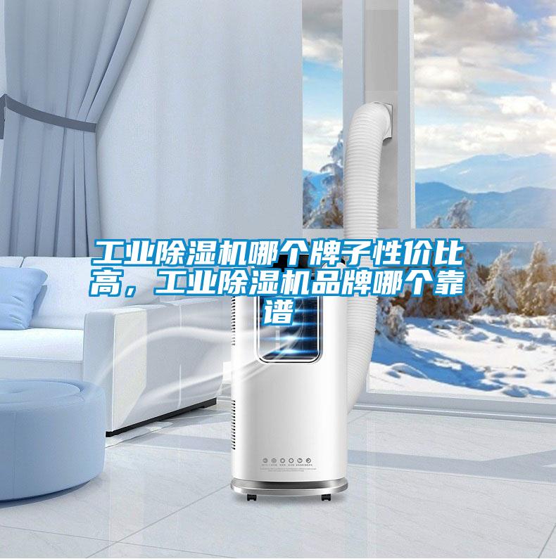 工業(yè)除濕機哪個牌子性價比高，工業(yè)除濕機品牌哪個靠譜