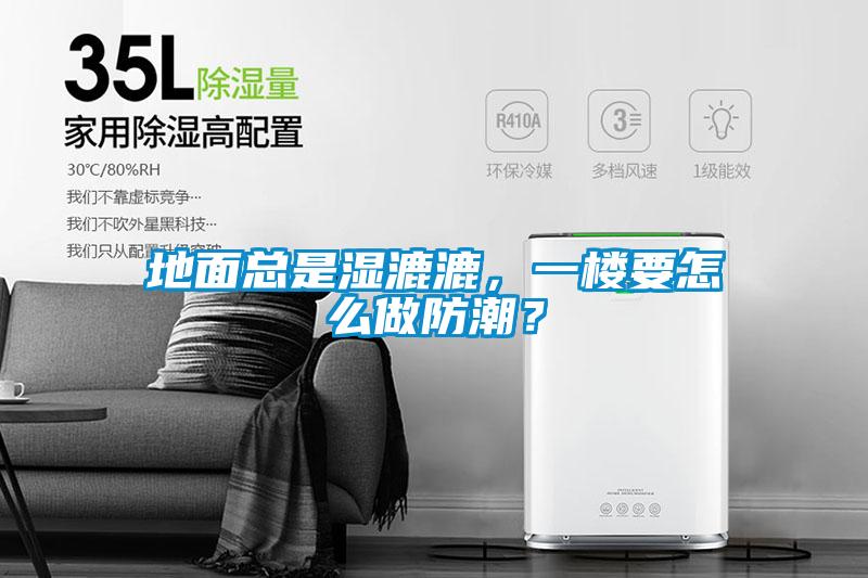地面總是濕漉漉，一樓要怎么做防潮？
