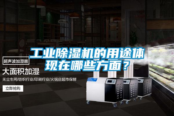 工業除濕機的用途體現在哪些方面？