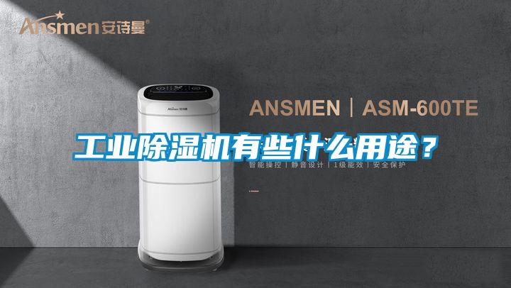工業(yè)除濕機(jī)有些什么用途？