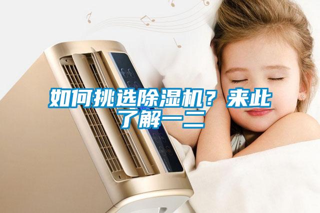 如何挑選除濕機？來此了解一二