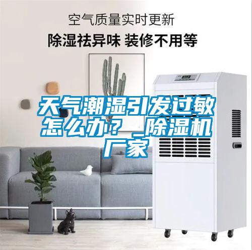 天氣潮濕引發(fā)過敏怎么辦？_除濕機廠家