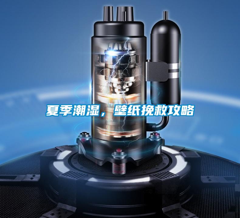 夏季潮濕，壁紙挽救攻略