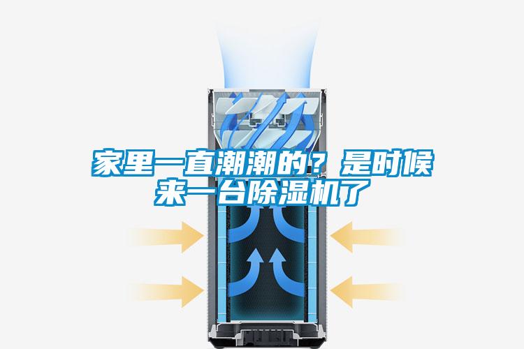 家里一直潮潮的？是時(shí)候來(lái)一臺(tái)除濕機(jī)了